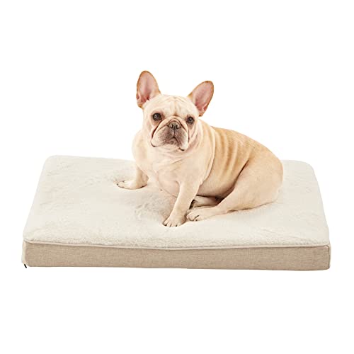 Memory Foam Medium Dog Bed (Beige / Medium-29"x 18" x 3")