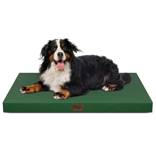 Outdoor Extra Large Dog Bed XXL for Giant Breed Dogs (Dark Green / 47.0"L x 29.0"W x 3.5"Th)
