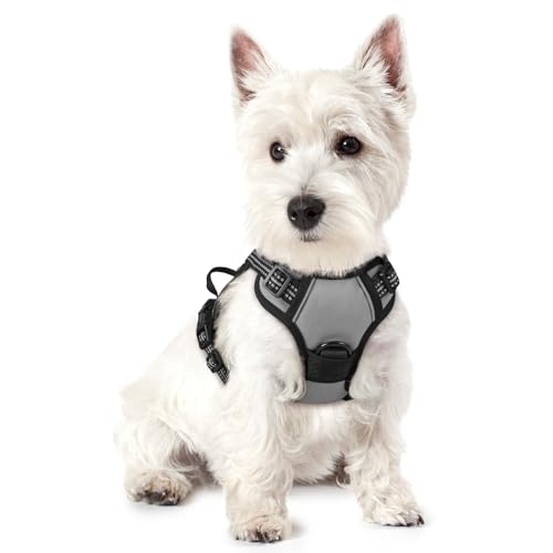 Dog Harness No Pull with 2 Leash Clips (X-Small / Gray)