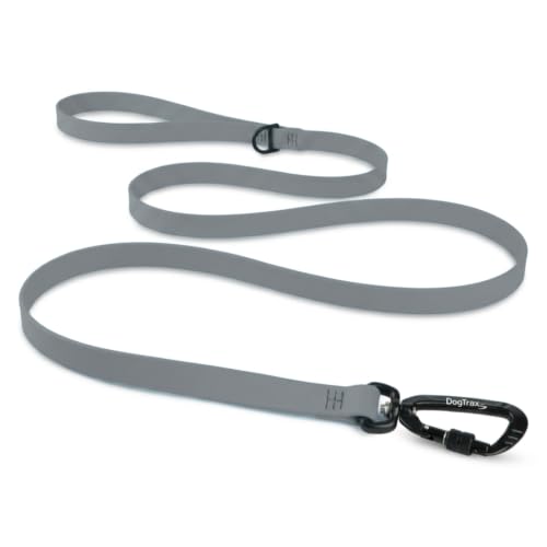 Essential Biothane Dog Leash (Steel Gray / 3/4 In x 3 Feet)