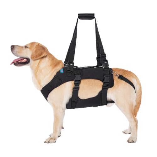 Dog Lift Harness (S / Black)