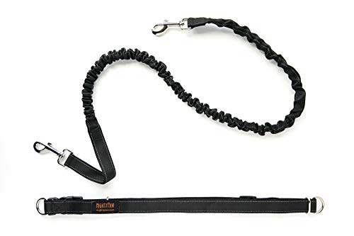 Hands Free Dog Leash (48" / Black)