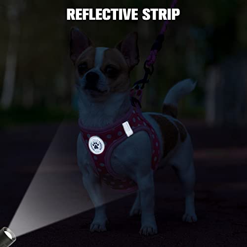 Small Dog Harness and Leash Set (XSmall(Chest Girth 13" - 14.5") / Pink Polka Dots)