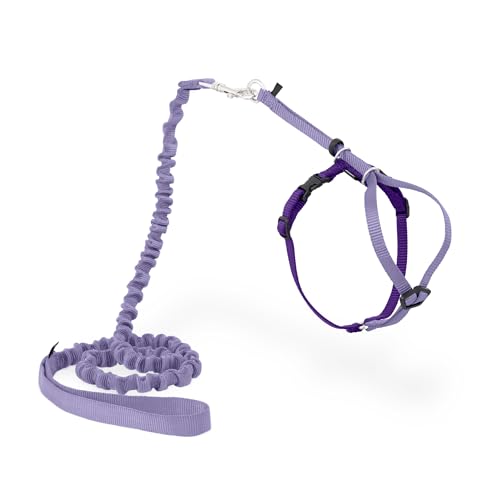 Come with Me Kitty Harness and Bungee Cat Leash (Small (Pack of 1) / Lilac/Deep Purple)