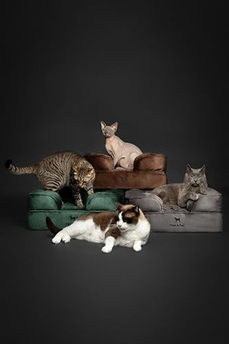Small Dog Bed (Velvet - Brown / Small)