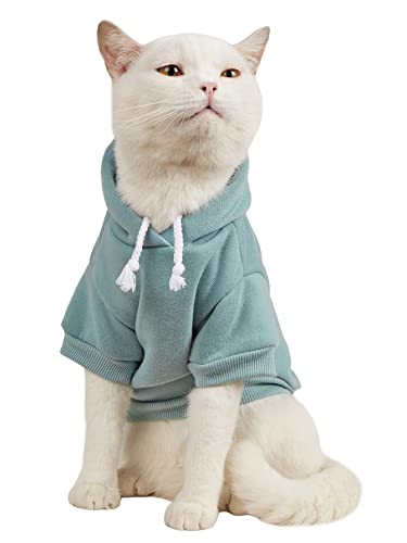 Basic Dog Hoodie Sweatshirt Puppy Sweater Warm Cat Costumes Pet Clothes for Chihuahua Puppy Kitten Small Medium Dogs Cadet Blue Small (Small / Cadet Blue)