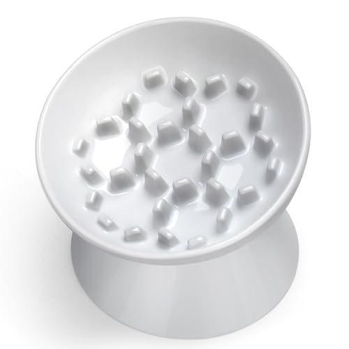 Ceramic Slow Feeder Cat Bowl (White-Honeycomb / 2 Cups)
