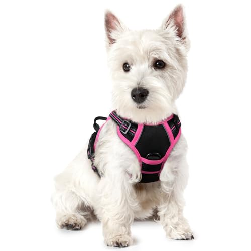 Dog Harness No Pull for Small Dogs with 2 Leash Clips (X-Small / Black & Hot Pink)