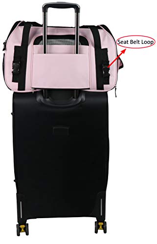 Soft Sided Pet Carrier for Cats & Small Dogs (21.0"L x 12.0"W x 13.0"H / Pink)