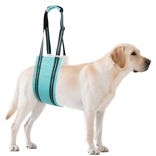 Adjustable Dog Sling Dog Lift Harness Hind Leg Support (Turquoise / XL)