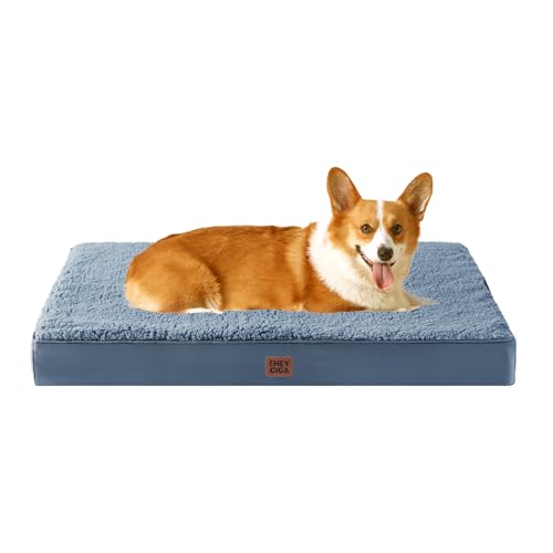 Orthopedic Dog Bed Large with Removable Washable Cover (35*23*3.5 inches / Spa Blue)