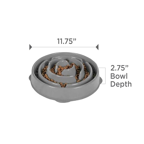 Fun Feeder Slo Bowl Dog Slow Feeder (Gray / Large)