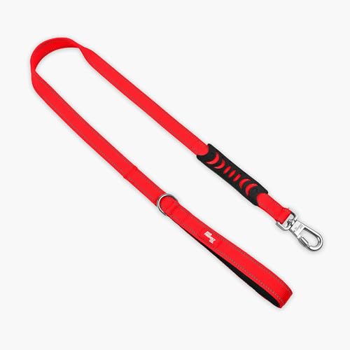 Classic Dog Leash (Red / Small)