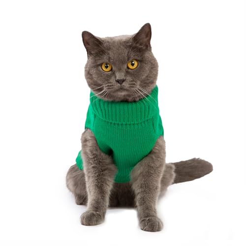 Cat Sweater Stretchy (Dark Green / Medium)