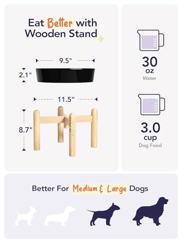 Ceramic Slow Feeder Dog Bowls Elevated (Skull Black+Stand / L-3 Cups)