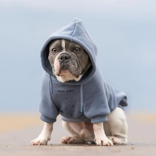 Dog Hoodie Buttery (Slate Blue / Large)