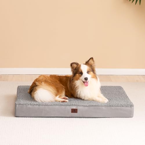 Orthopedic Dog Bed Large with Removable Washable Cover (36*27*3.5 inches / Light Grey)