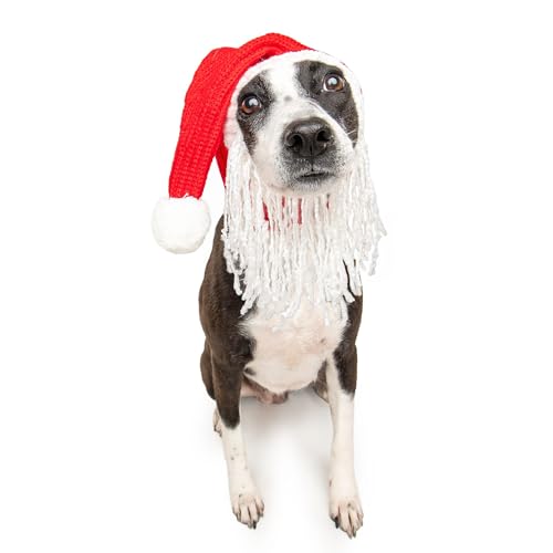 Christmas Santa Beard and Hat Costume (Santa w/Beard / Medium)
