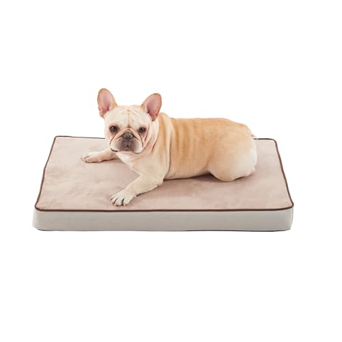 Orthopedic Memory Foam Dog Bed (Khaki Short Plush / Medium-29"x 18" x 3")