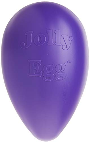 Jolly Egg Dog Toy (Large (12 in) / Purple)