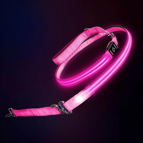 LED Dog Leash (Pink / 6 feet)