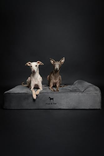 Large Dog Bed (Velvet - Grey / Large)