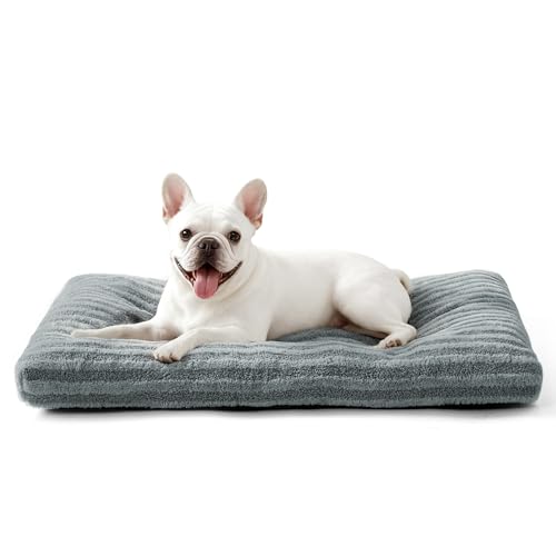Washable Small Dog Bed (Gray / 23.0"l x 18.0"w x 3"th)