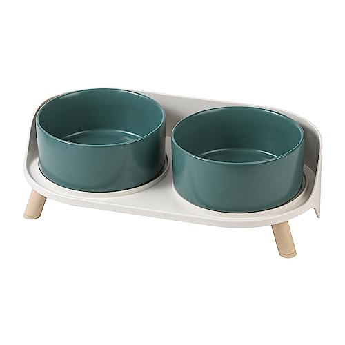 Elevated Ceramic Dog Bowl Set (Green / Medium)