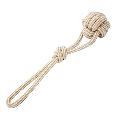 Dog Chew Toys