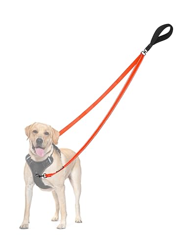 Two Point Control Dog Leash (Orange)