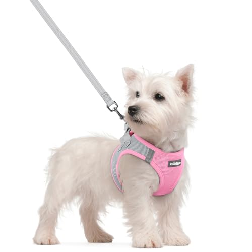 Dog Harness Small Sized and Leash Set (Light Pink & Gray / S (chest: 15.1 - 16.5"))