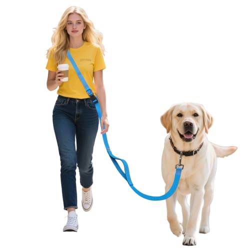 Hands Free Dog Leash (6–9.5 ft / Blue)