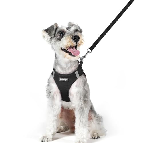 Dog Harness Medium Sized and Leash Set (Black / Xl (chest: 20 - 21.8"))