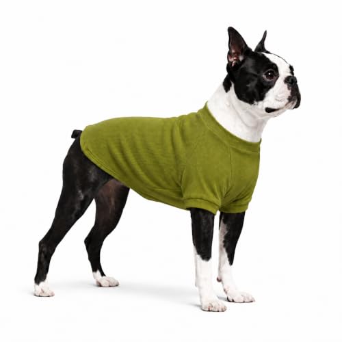 Ribbed Dog T Shirt Cotton Knitted Dog Sweaters for All Season Pet T (2XL (for Medium Large Dog) / Olive green)
