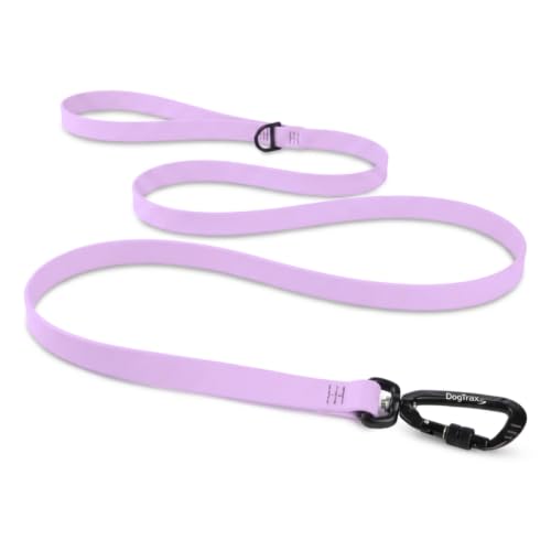 Essential Biothane Dog Leash (Lavender Purple / 3/4 In x 5 Feet)