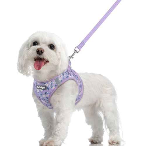 Dog Harness Medium Sized and Leash Set (Lavender Floral / M (chest: 16 - 18.5"))