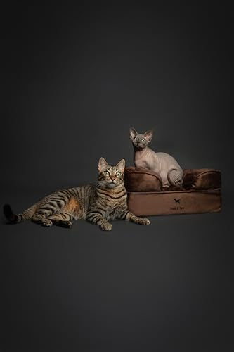 Small Dog Bed (Velvet - Brown / Small)