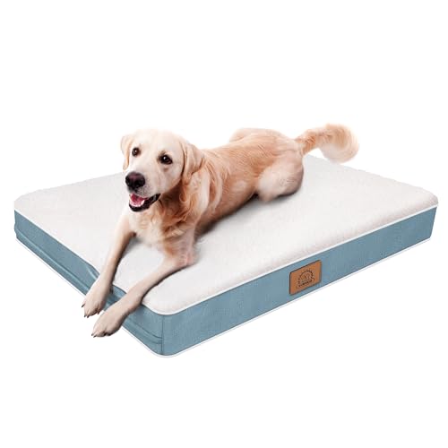 Washable Orthopedic Large Dog Bed (Blue / 36.0"L x 27.0"W x 3.0"Th)