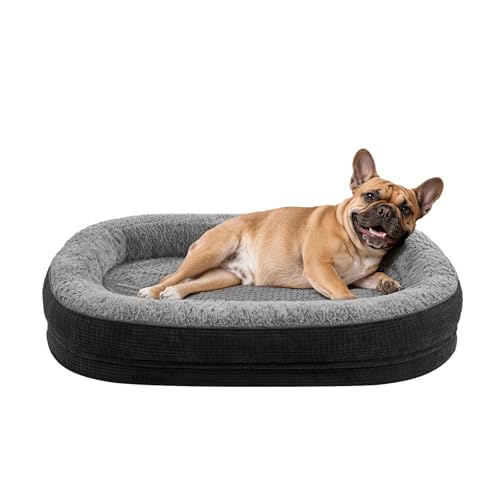 Orthopedic Dog Bed for Medium Dogs (Black / 28"l X 23"w X 6.5"th)