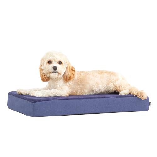 Orthopedic Dog Bed (Navy / Small)