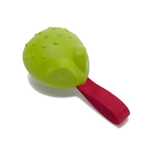 Tug Tied Toad Dog Toy (Tug Tied Toad-Large)