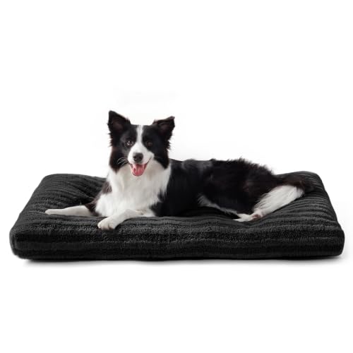Washable Dog Bed Large Sized Dogs (Black / 35.0"l x 23.0"w x 3.5"th)