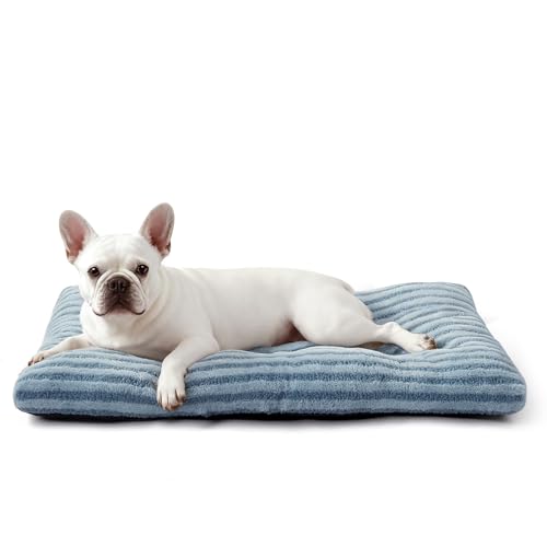 Washable Small Dog Bed (Blue / 23.0"l x 18.0"w x 3"th)