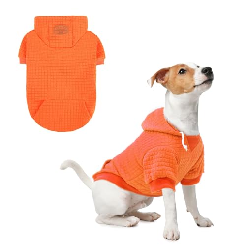 Dog Hoodies Sweater for Small Dogs (Orange / XS (Back: 10",Chest: 14", Neck: 8.7"))