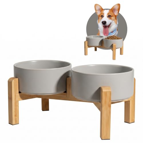 Elevated Ceramic Dog Bowl (Light Gray / Medium)