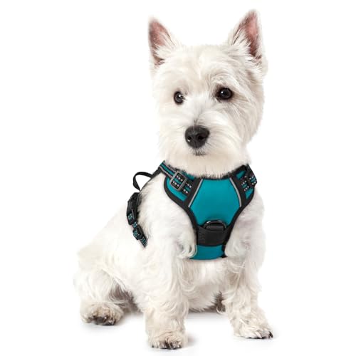 Dog Harness No Pull with 2 Leash Clips (X-Small / Teal)