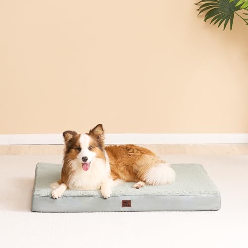 Orthopedic Dog Bed Large with Removable Washable Cover (35*23*3.5 inches / Greyish Green)