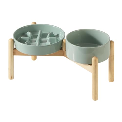 Elevated Slow Feeder Dog Bowls (Light Green)