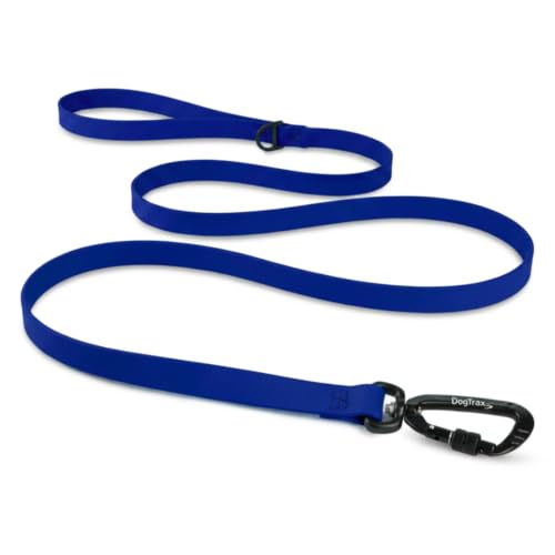 Essential Biothane Dog Leash (Cobalt Blue / 1 In x 5 Feet)