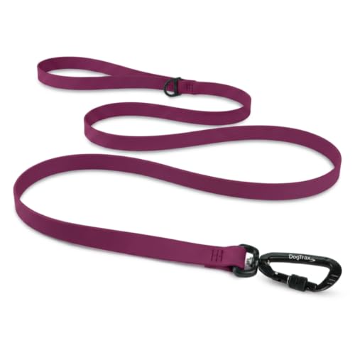 Essential Biothane Dog Leash (Red Garnet / 3/4 In x 3 Feet)